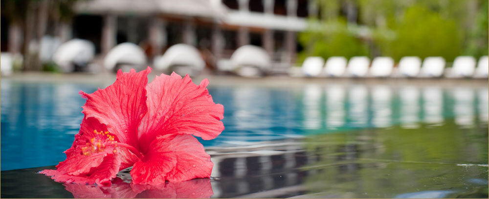 Gayana Marine Resort Kota Kinabalu Exteriör bild